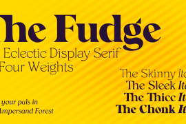 The Fudge Chonk Italic