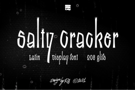 Salty Cracker Regular