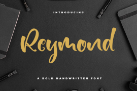 Reymond Regular