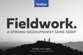 Fieldwork Geo Bold