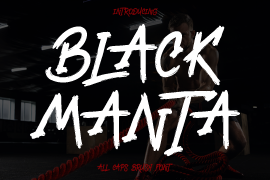 Black Manta Brush Italic