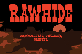 Rawhide Narrow