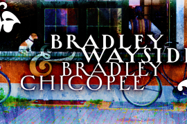 Bradley Wayside Pro
