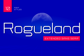 NCS Rogueland Slab Bold