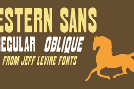 Western Sans JNL Oblique