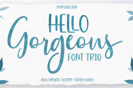 Hello Gorgeous Font Trio Script
