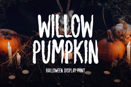 Willow Pumpkin Regular