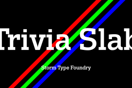 Trivia Slab Black-Italic