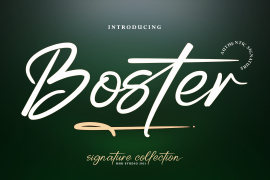 Boster Regular