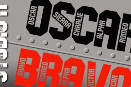 Oscar Bravo