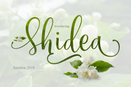Shidea Regular