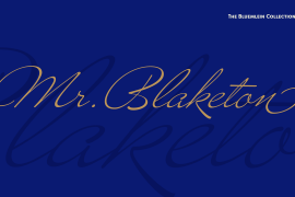 Mr Blaketon Pro Regular