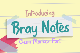 Bray Notes Regular