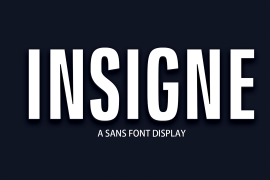 Insigne Display Regular