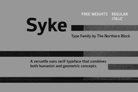 Syke Black Italic