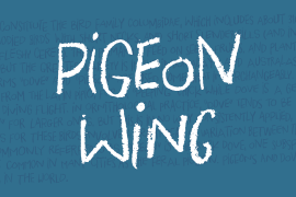 Pigeon Wing