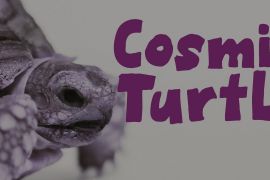 Cosmic Turtle Italic
