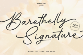 Barethelly Signature Regular