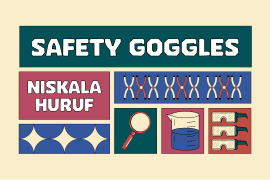 Safety Goggles Regular