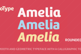 Amelia Rounded Black Italic