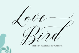 Love Bird Regular