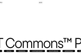 TT Commons Pro Black