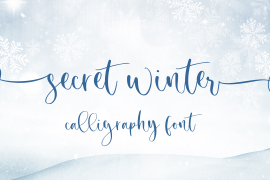 Secret Winter Regular