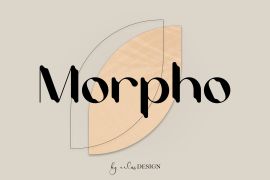 Morpho Regular