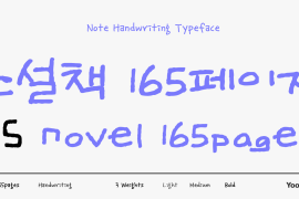 DS Novel165page Medium