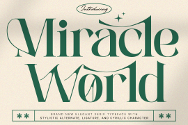 Miracle World Regular