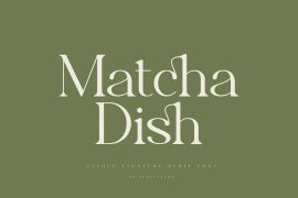 Matcha Dish Regular