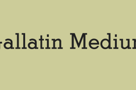 Gallatin Medium Regular