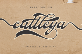 Cattleya Regular