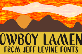 Cowboy Lament JNL