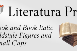 Literatura Pro Book Italic