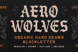 Aero Wolves Outline
