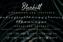 Bluehill Swash