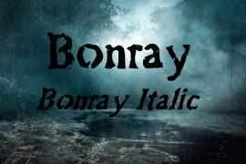 Bonray Italic