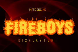 Fireboys Outline Solid