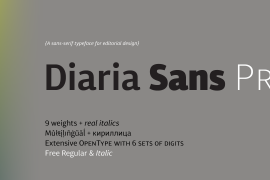 Diaria Sans Pro Black