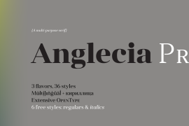 Anglecia Pro Display Black