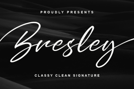 Bresley Regular