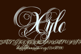 Xylo Script