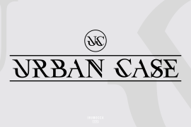 Urban Case Regular
