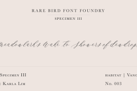 Rare Bird Specimen III