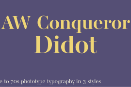 AW Conqueror Std Didot Bold