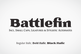 Battlefin Black Italic