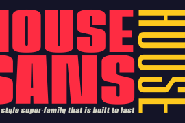 House Sans Narrow Heavy Italic
