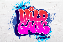 Wild Gang Graffiti Regular