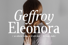 Geffroy Eleonora Regular